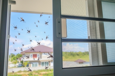mosquito control melbourne