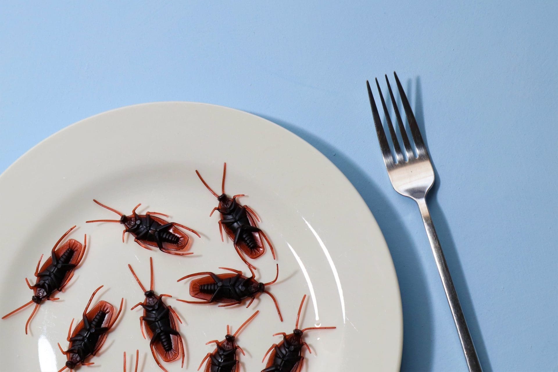 restaurant pest control Melbourne