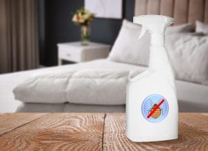 Move onto the bed: Spraying bed bugs