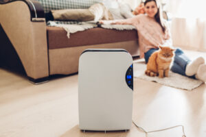 dehumidifier in the living room with a woman sitting with her cat