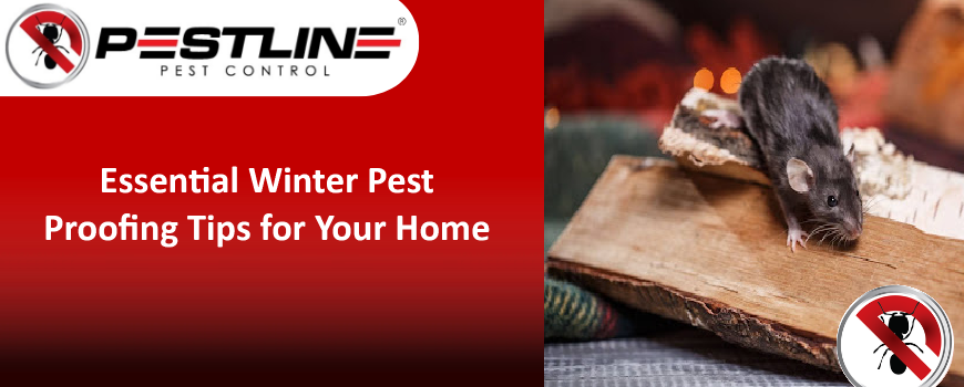 Essential Winter Pest Proofing Tips for Your Home