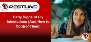 Early Signs of Fly Infestations (And How to Control Them)