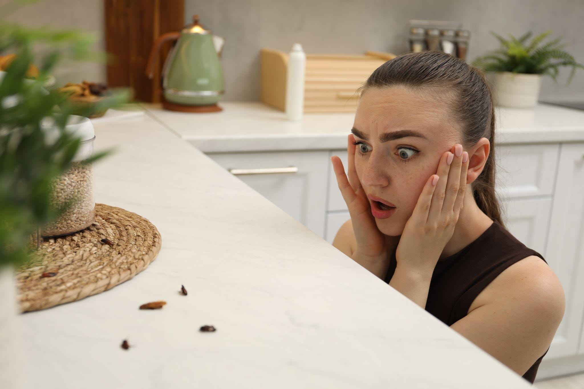 How Pests Get Into Your Home